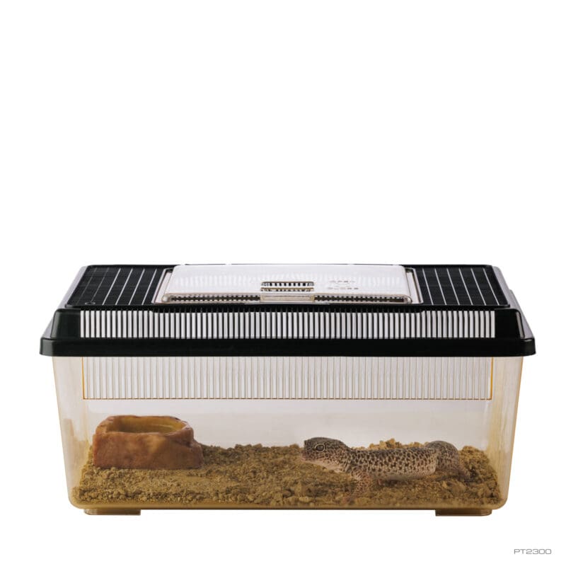EXO TERRA FAUNARIUM PLASTICO 36X21X16CM4