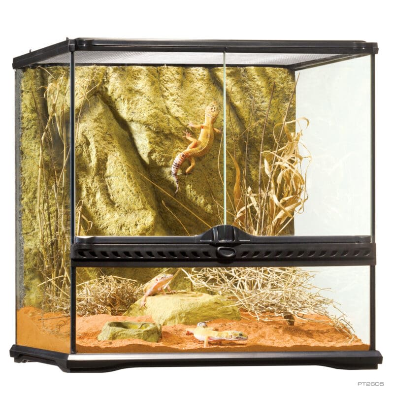EXO TERRA TERRARIO ANCHO S 45X45X451