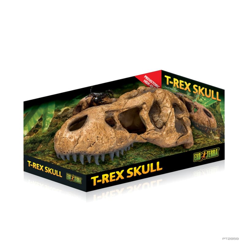 EXO TERRA DECO REFUGIO CRANEO T-REX2