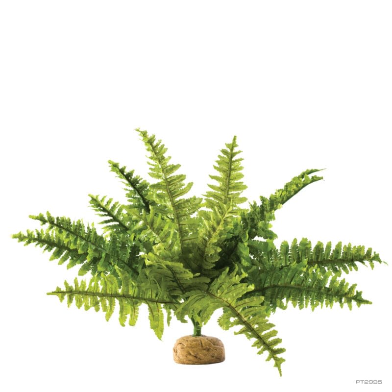 EXO TERRA HELECHO BOSTON FERN M1