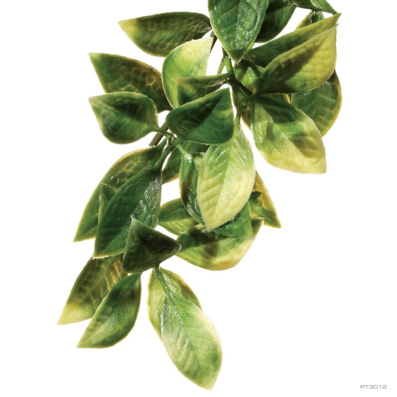 EXO TERRA DECO PLANTA JUNGLA MANDARIN M1