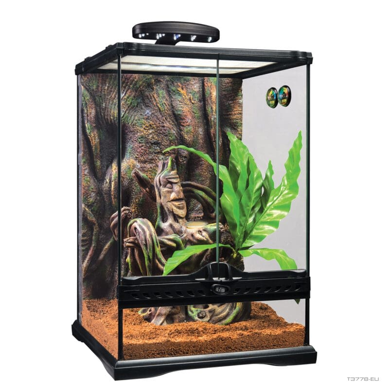 EXO TERRA KIT INICIO GECKO CRESTADO SMAL1