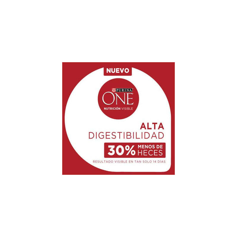 PURINA ONE PERRO ADULTO RAZA MEDIANA CARNE 6 KG5