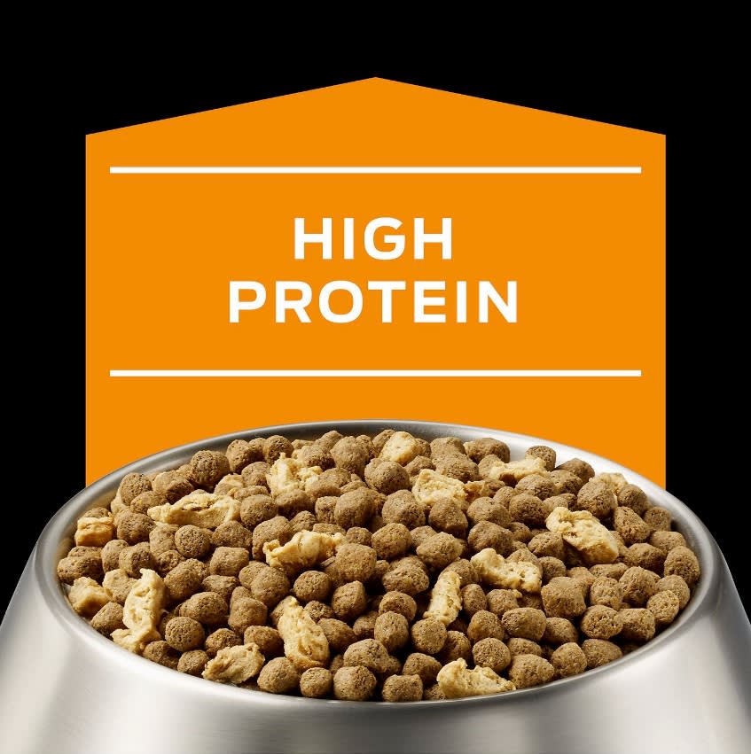PRO PLAN OM OBESIDAD PERRO 2 KG4
