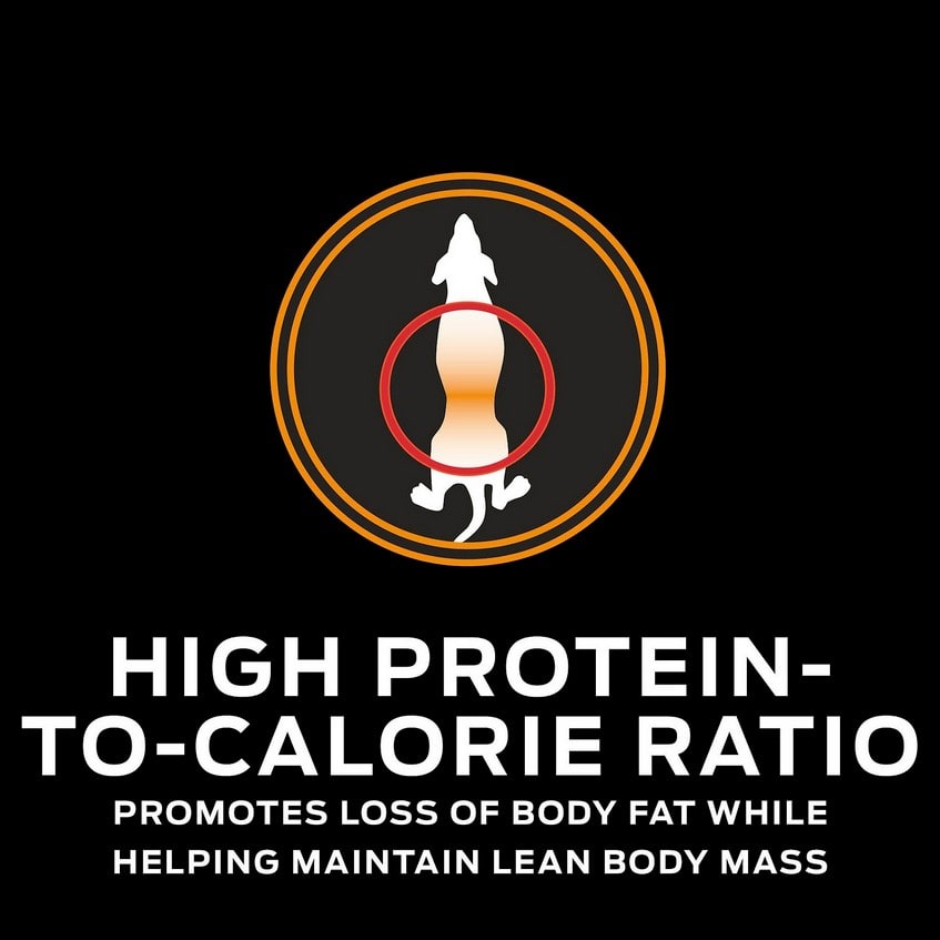 PRO PLAN OM OBESIDAD PERRO 2 KG2