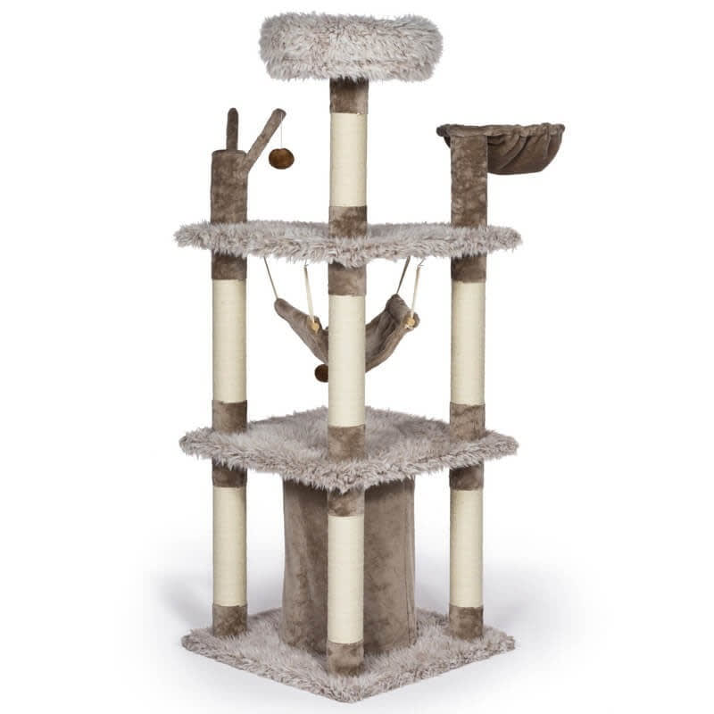 RASCADOR MONTAÑA SIBERIANA2