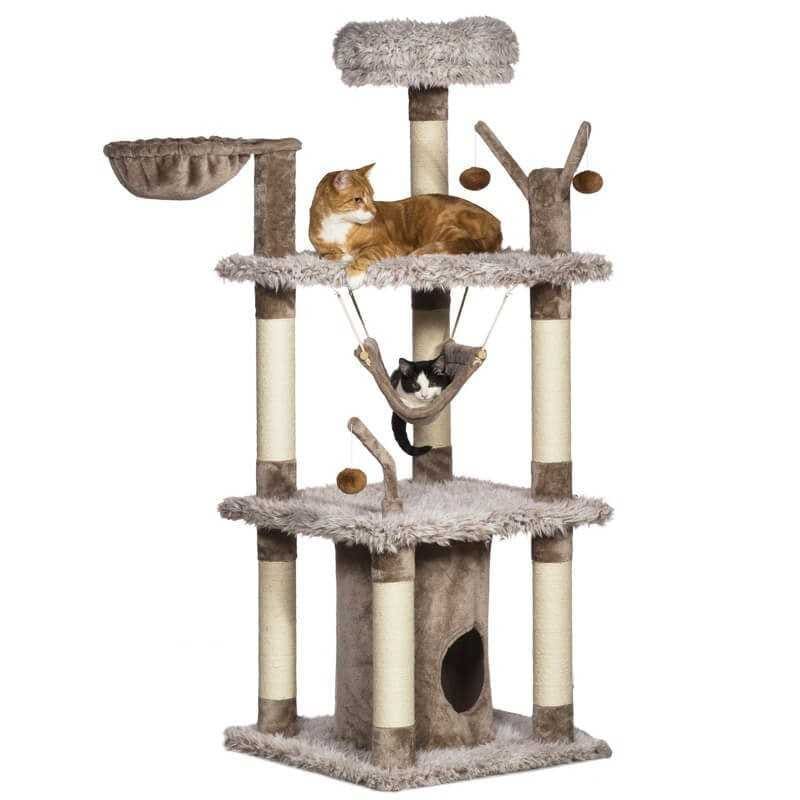 RASCADOR MONTAÑA SIBERIANA3