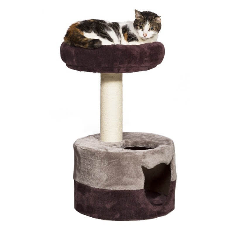 RASCADOR CON GUARIDA MORADO2