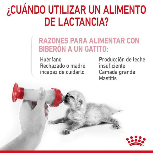 Royal Canin Leche Para  Gatos 300grs Con Mamila4