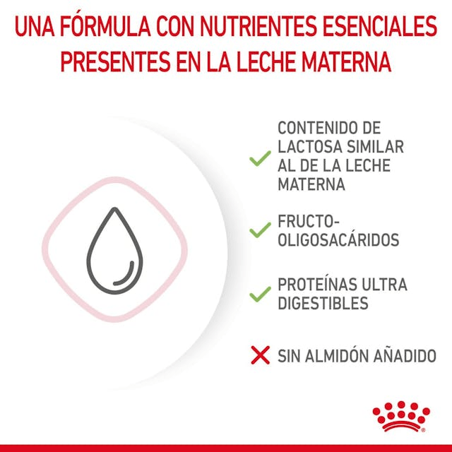 Royal Canin Leche Para  Gatos 300grs Con Mamila3
