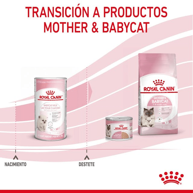 Royal Canin Leche Para  Gatos 300grs Con Mamila8