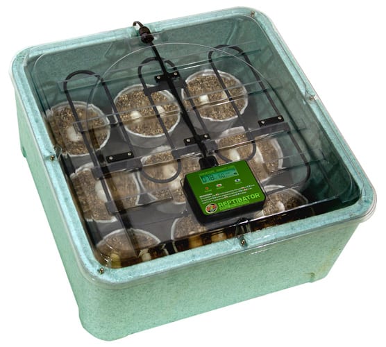 REPTIBATOR DIGITAL EGG INCUBATOR2