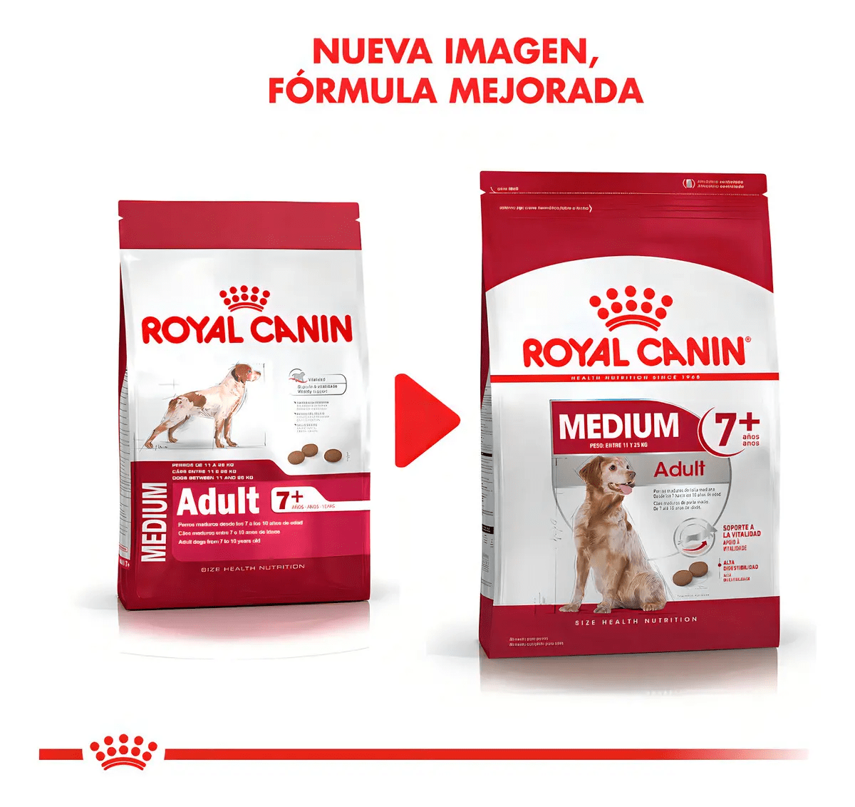 ROYAL CANIN ADULTO MEDIUM ADULTO 7+ 15 KG2
