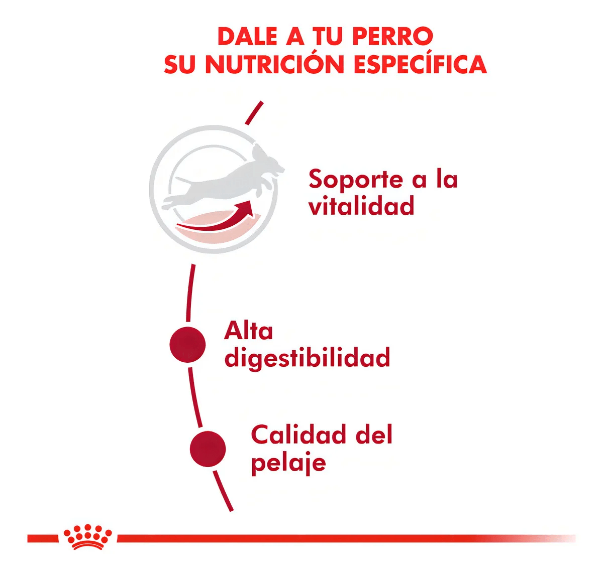 ROYAL CANIN ADULTO MEDIUM ADULTO 7+ 15 KG6