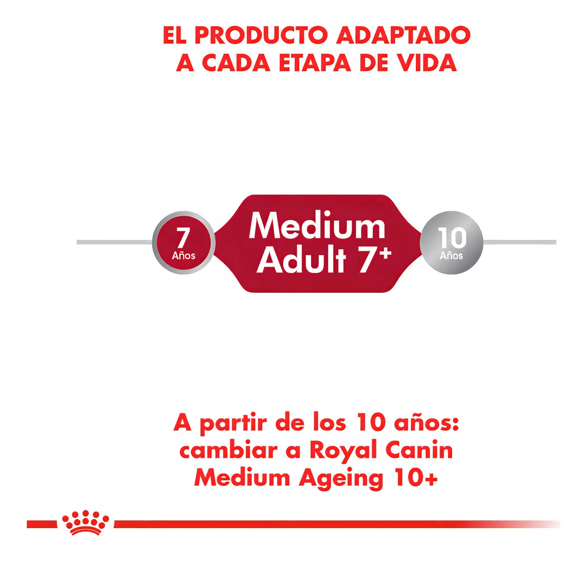 ROYAL CANIN ADULTO MEDIUM ADULTO 7+ 15 KG5