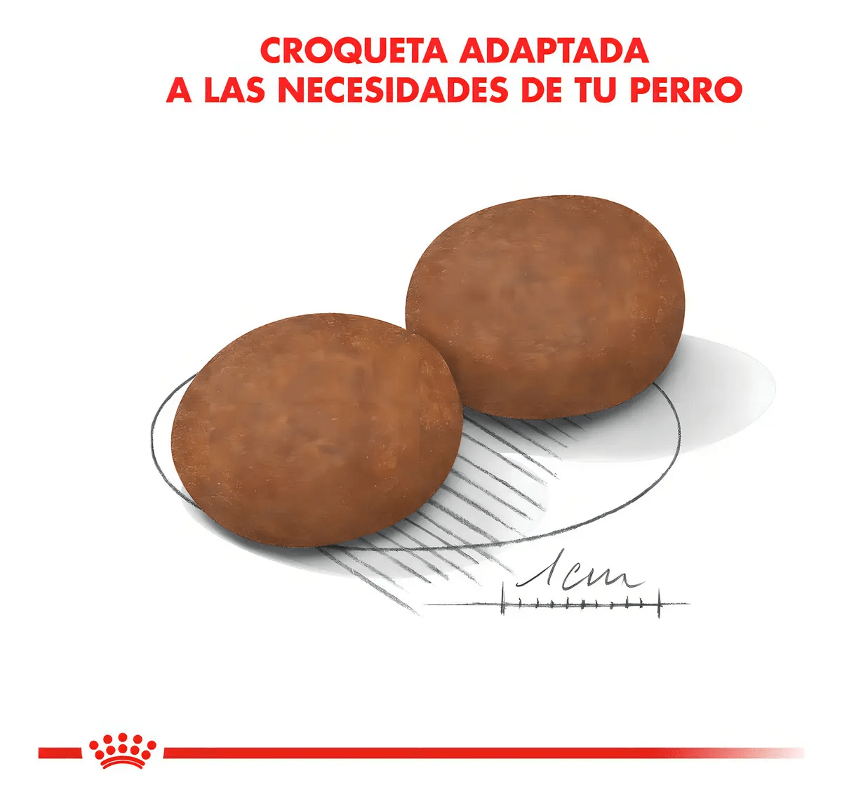 ROYAL CANIN ADULTO MEDIUM ADULTO 7+ 15 KG4
