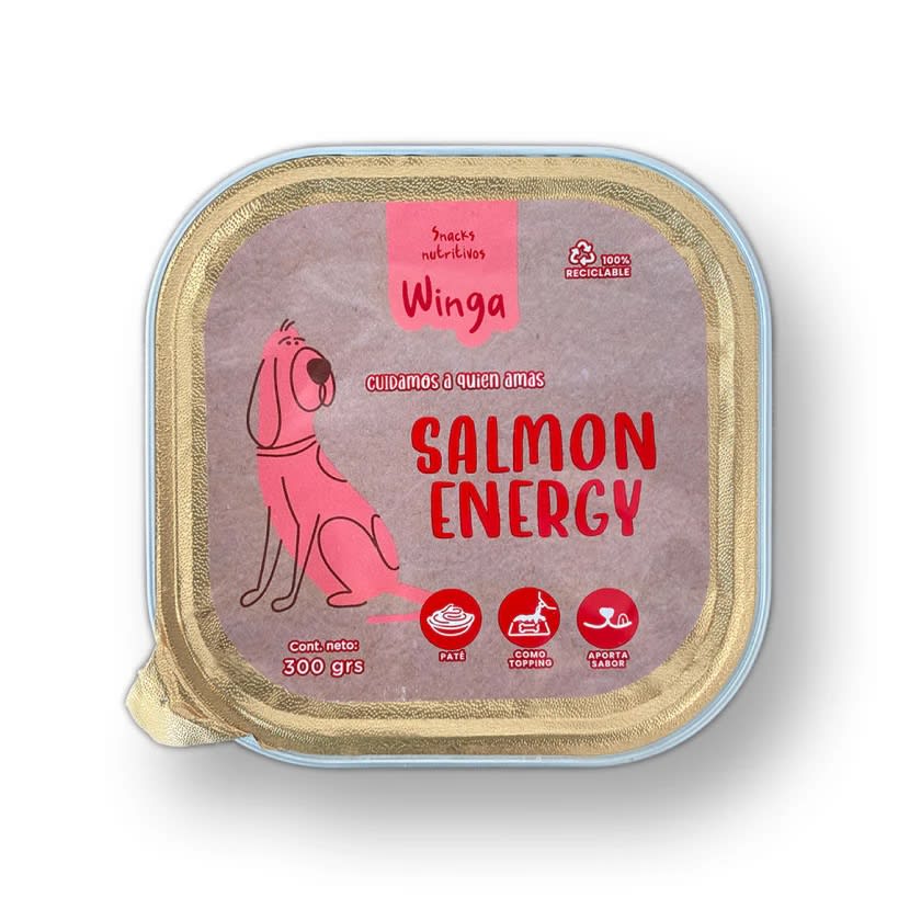 WINGA SALMON ENERGY1