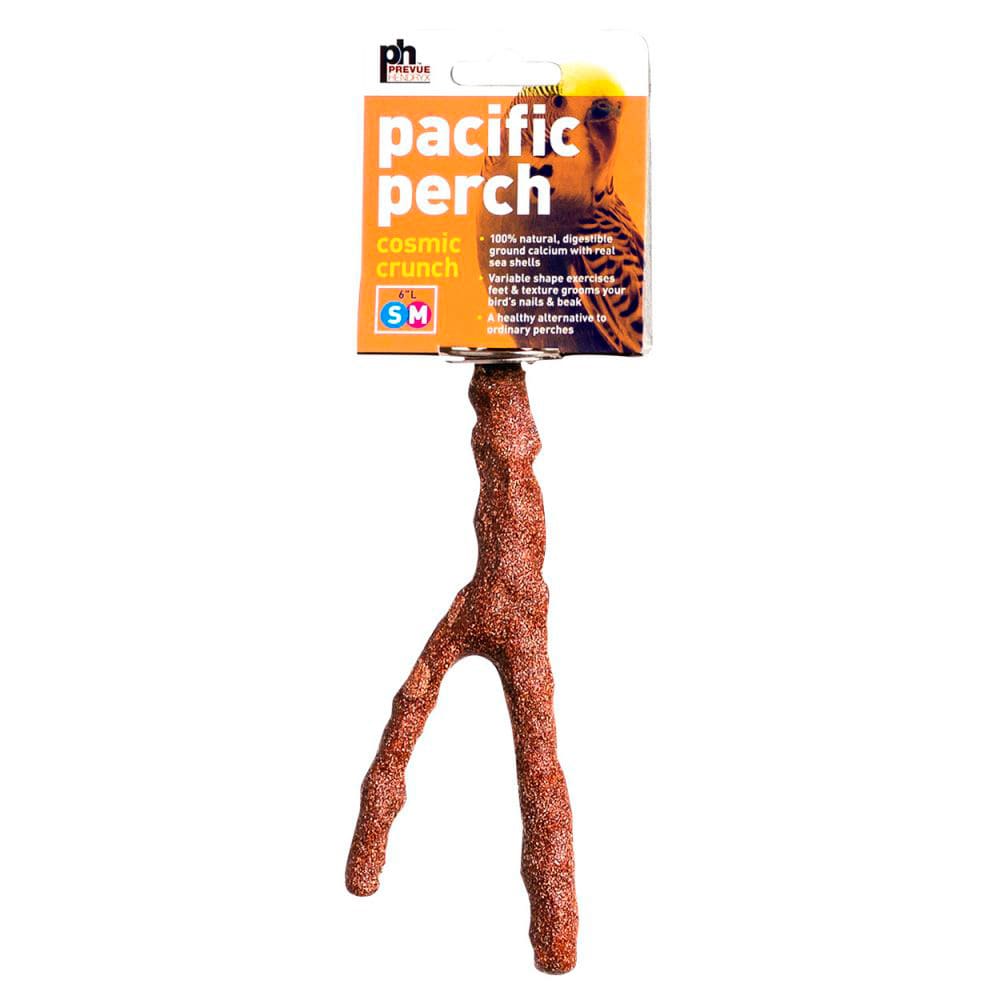 SMALL COSMIC PERCH 6 INCH1