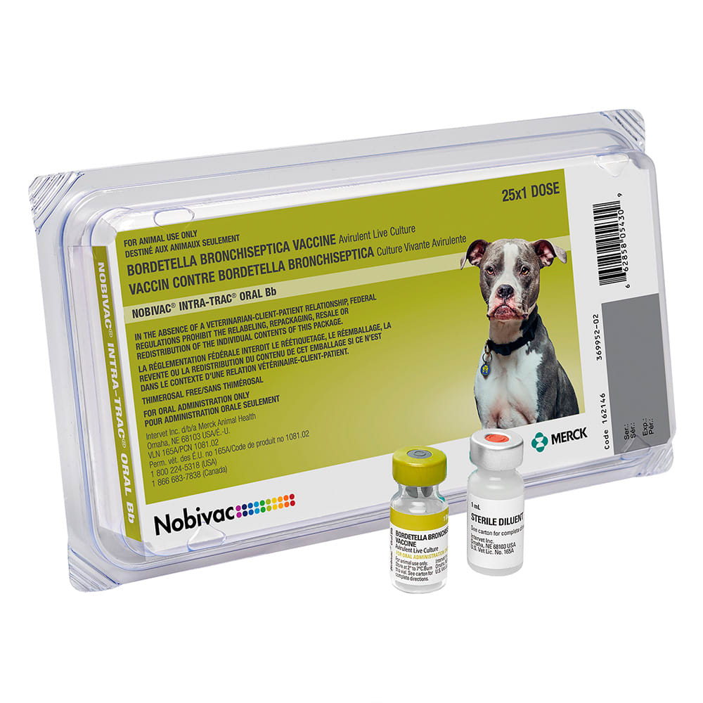 NOBIVAC INTRA-TRAC ORAL BB - CAJA 5 X 1 DS 5001