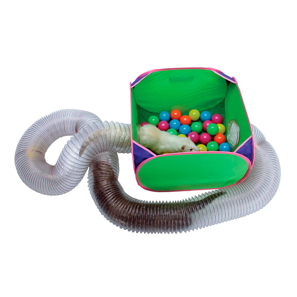 JUGUETE HURON INTERACTIVO POP AND PLAY1