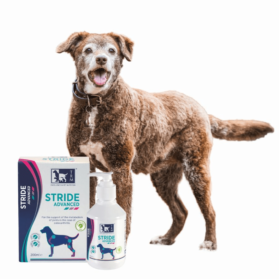 STRIDE ADVANCED 200 ML3