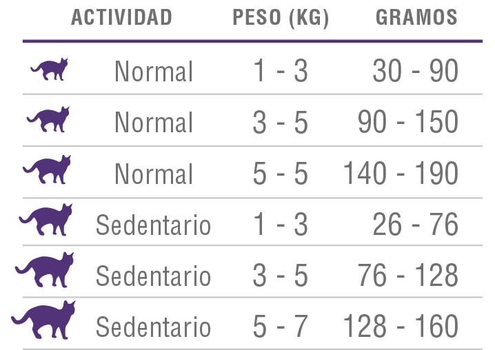 NOMADE GATO 3 KG2