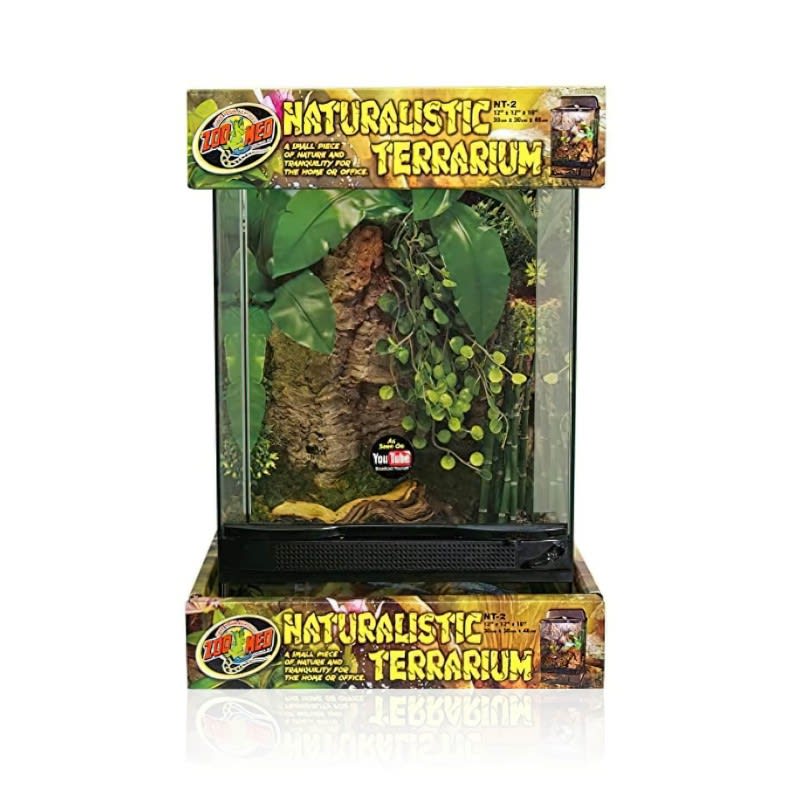 TERRARIO MEDIANO1