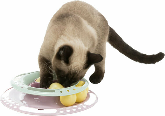JUGUETE JUNIOR KITTEN CIRCULO. 24 cm3