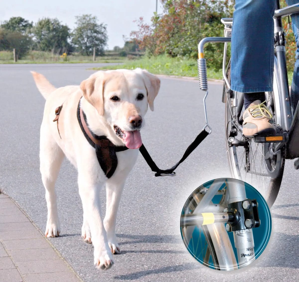 TX SET PARA BICICLETAS Y PERROS GRANDES3