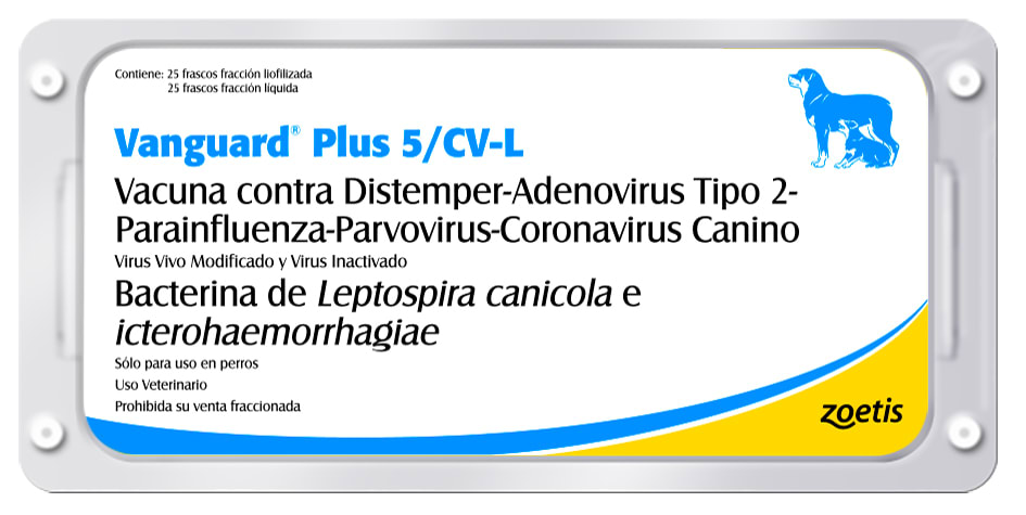 VANGUARD PLUS 5/L - 25 DS1