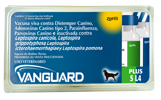 VANGUARD PLUS 5 L4 - 25 DS1