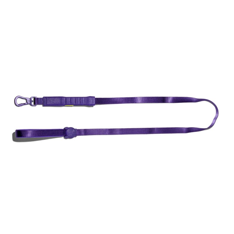 VIOLET AIR-LEASH1
