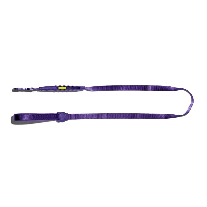 VIOLET AIR-LEASH2