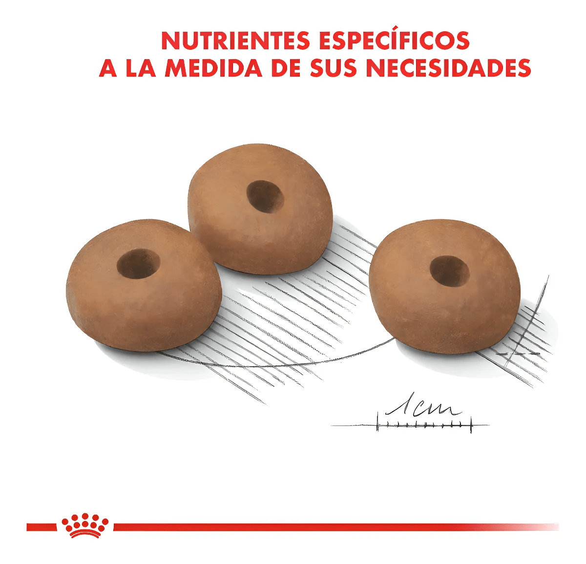 ROYAL CANIN DOG MEDIUM ADULTO WEIGHT CARE 10 KG4