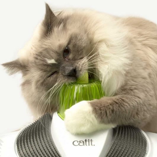CATIT SENSES 2.0 WELLNESS CENTER3