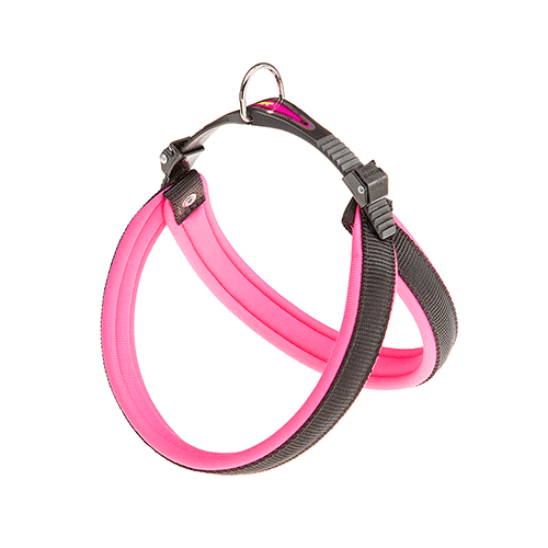 Fp Arnes Agila Fantasy 4, 44-52 Cm/20 mm, Fucsia1