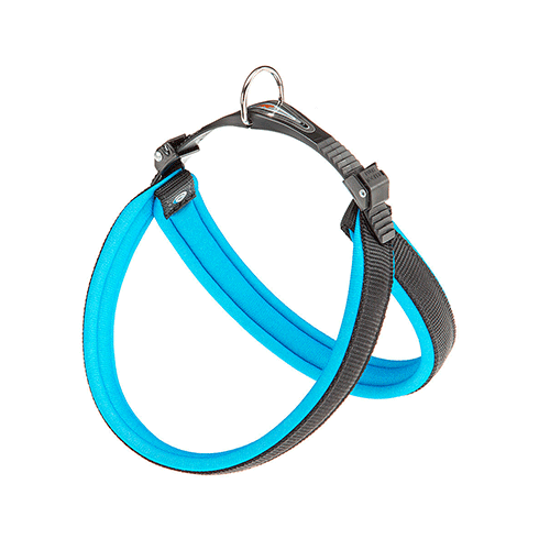 Fp Arnes Agila Fantasy 4, 44-52 Cm/20 mm, Azul1