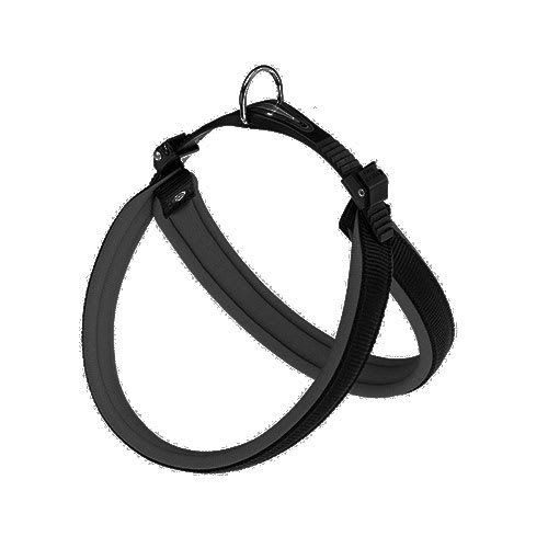 Fp Arnes Agila Fantasy 4, 44-52 Cm/20 mm, Negro1