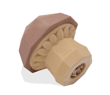 SUPERVEGGIEZ MUSHROOM2