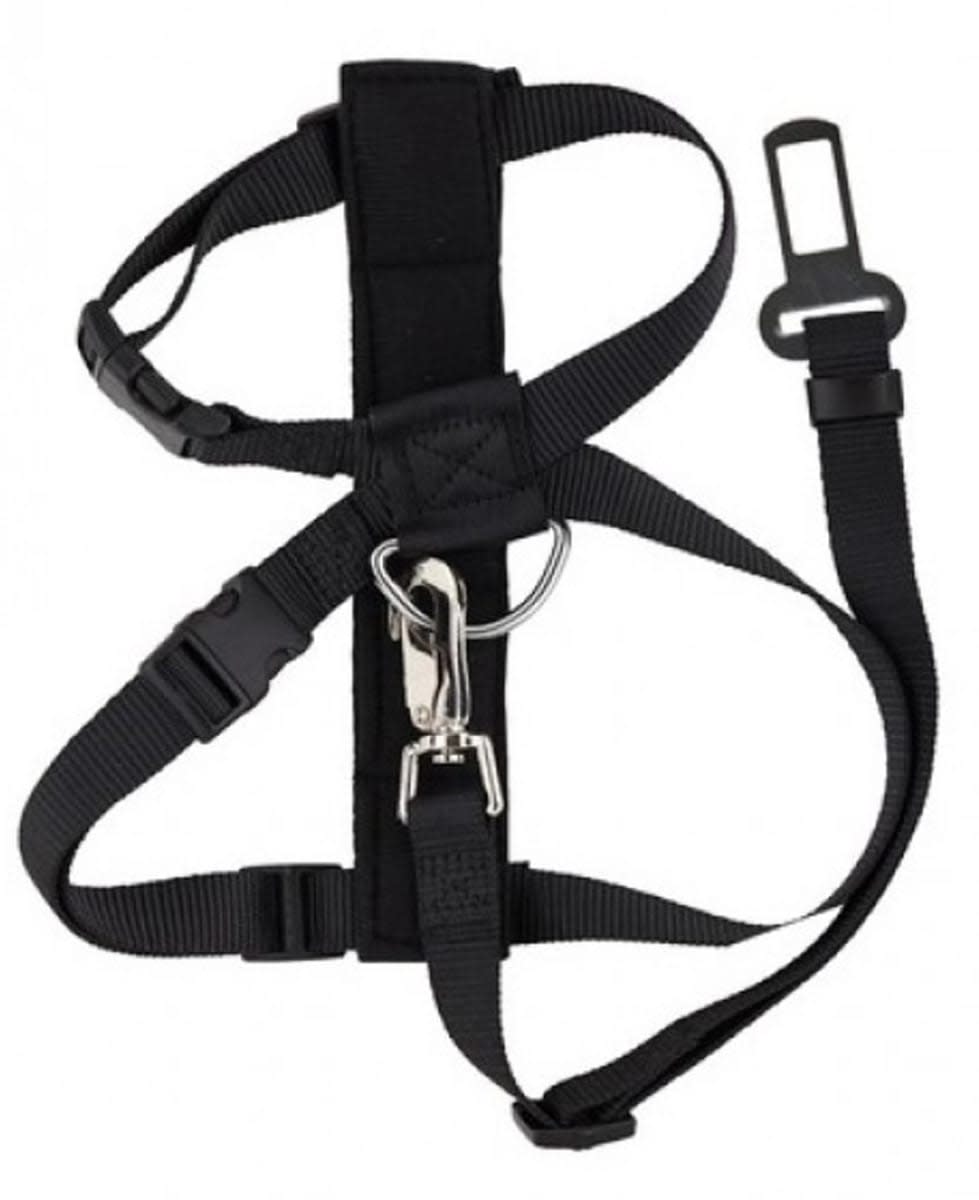 PAWISE ARNES Y CINTURON DE SEGURIDAD M2