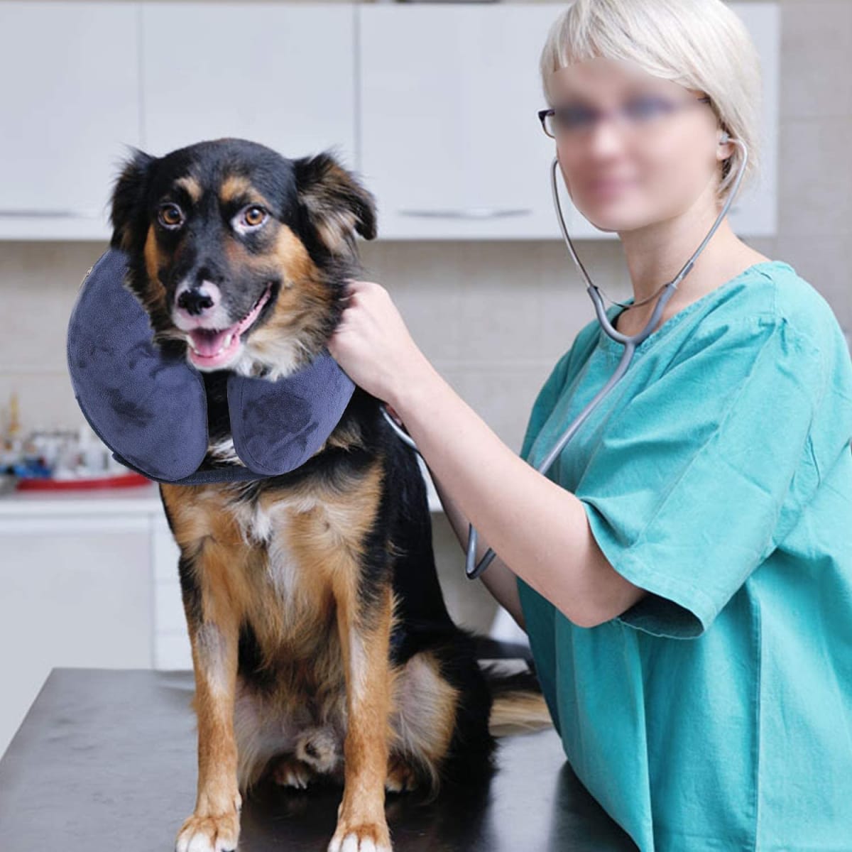 PAWISE COLLAR INFLABLE L3
