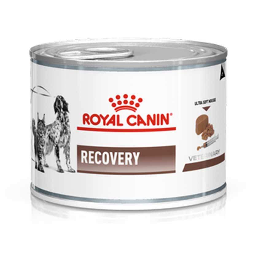 ROYAL CANIN RECOVERY CANINE/FELINE LATA 145 GR1