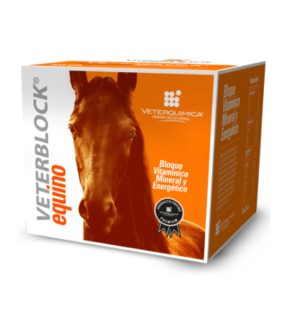 VETERBLOCK EQUINO 10 KG1