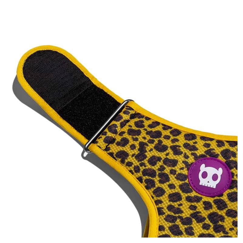 HONEY H-HARNESS LARGE2