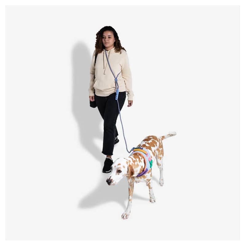 ANDROMEDA HANDSFREE LEASH1