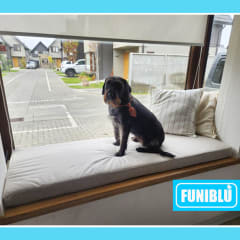 Proyecto Ventada Bow Window