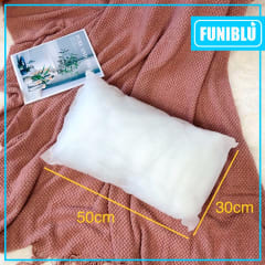 RELLENO BASICO 30X50