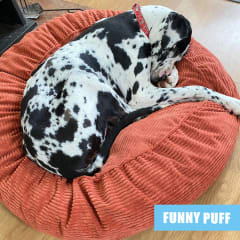 BED PUFF MASCOTAS