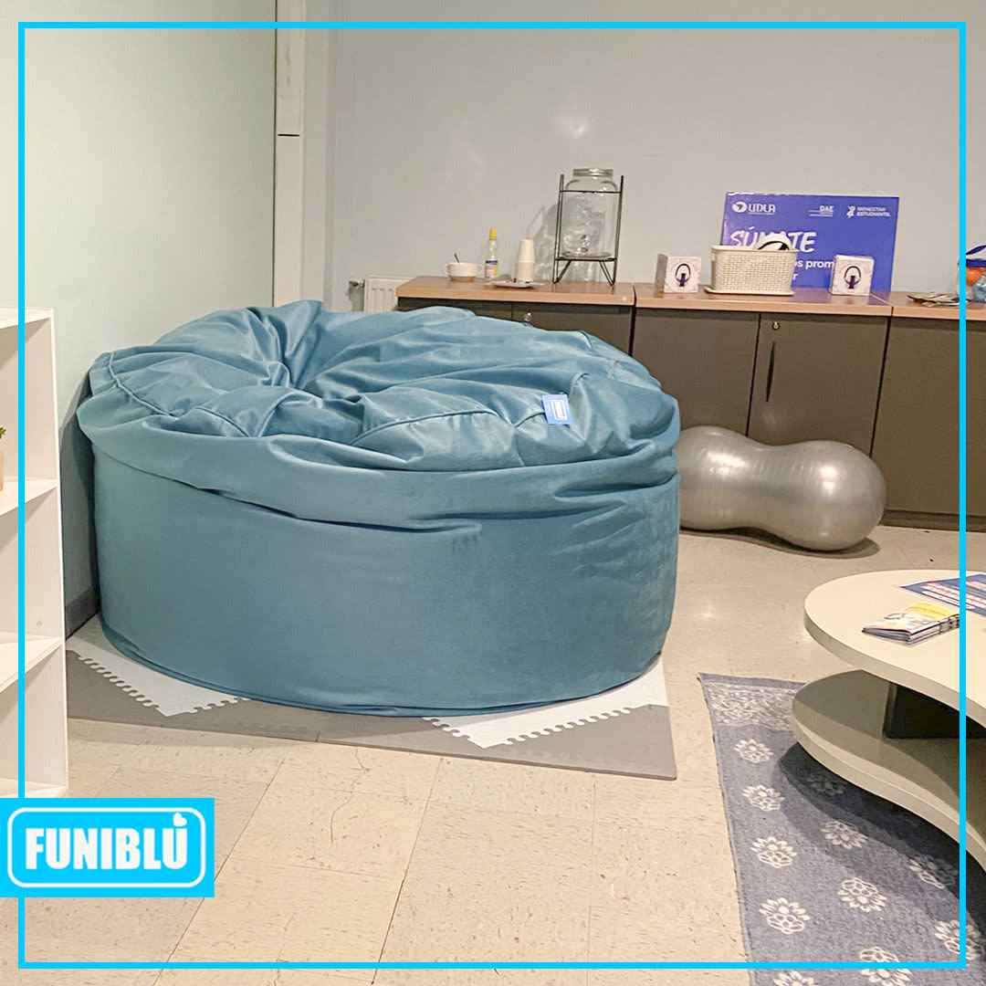 PUFFS PARA SALA DE CONTENCION ESTUDIANTIL — UNIVERSIDAD UDLA1