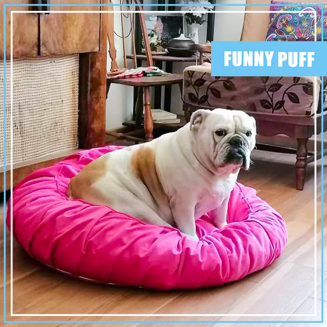 BED PUFF MASCOTAS3